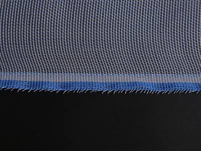 A plain weave plastic insect screen with blue color locked edge on the black background.