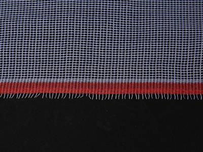 A warp knitting plastic insect screen with red color locked edge on the black background.